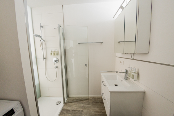 Apartment with modern bathroom with hairdryer, shampoo and shower gel - BONNYSTAY