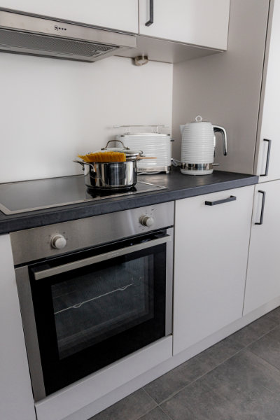 Kitchen with dishwasher, oven and freezer - Apartment Herzogenaurach - The Garden