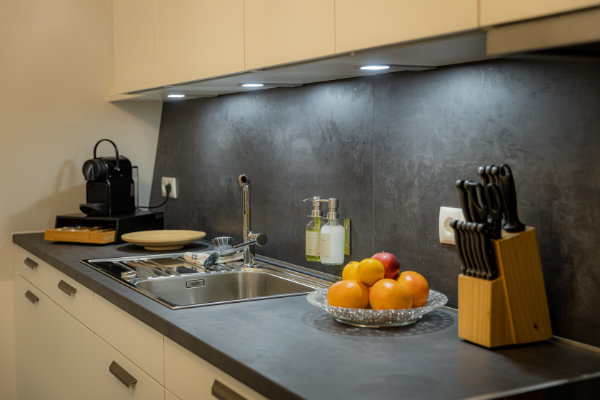 Kitchens with refrigerator, freezer and dishwasher - Vacation Apartment Passau - BONNYSTAY
