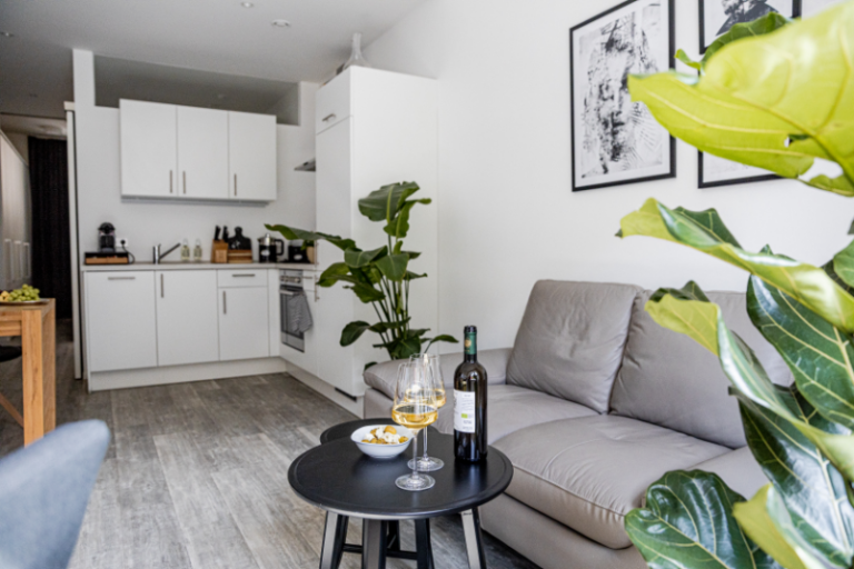 Luxuriösen 2 Zimmer Apartment im Zentrum von Passau - BONNYSTAY